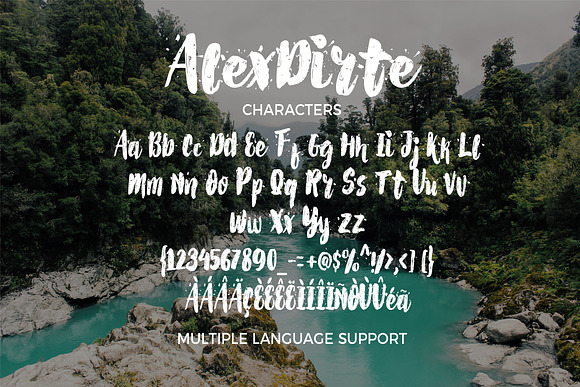 AlexDirte Brush Font in Fonts - product preview 7
