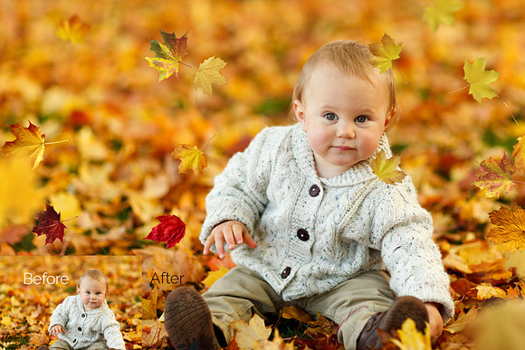 97 Autumn Leaves Photo Overlays in Photoshop Layer Styles - product preview 3