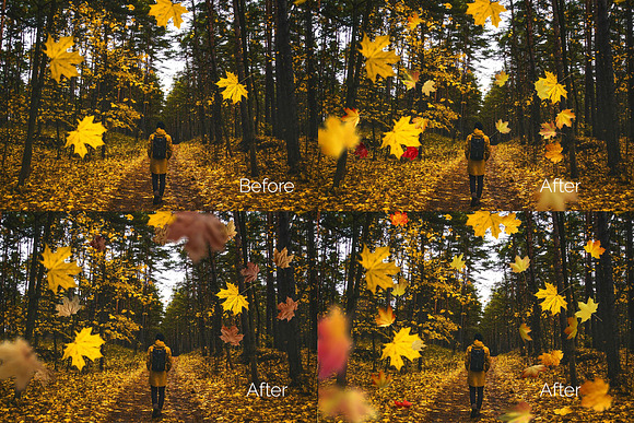 97 Autumn Leaves Photo Overlays in Photoshop Layer Styles - product preview 4