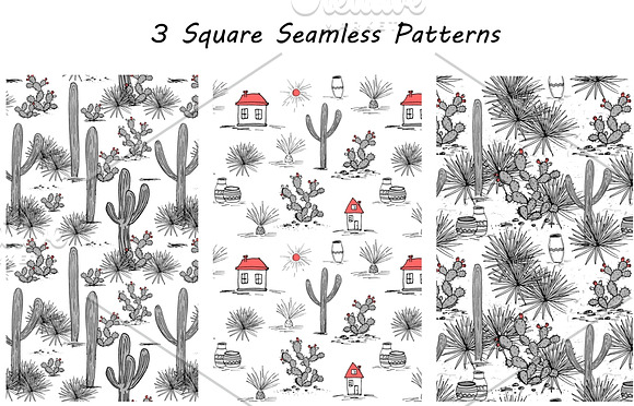 Wild Cacti Planet. Vector collection in Illustrations - product preview 1