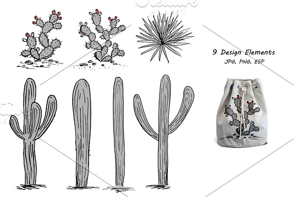 Wild Cacti Planet. Vector collection in Illustrations - product preview 4