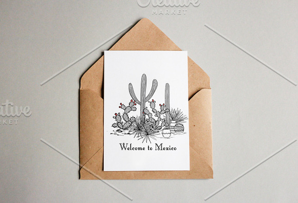 Wild Cacti Planet. Vector collection in Illustrations - product preview 5