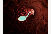 Sperm microscopic view.