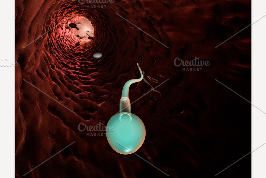 Sperm microscopic view.