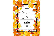 Autumn sales banners for web or print. Fall season sale and discounts banner. Colorful autumn leaves headline and sale invintation on wite background. Vector illustration