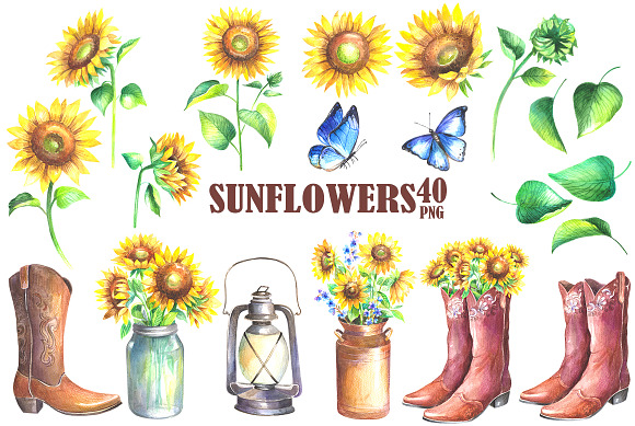 Sunflowers watercolor clipart in Illustrations - product preview 1