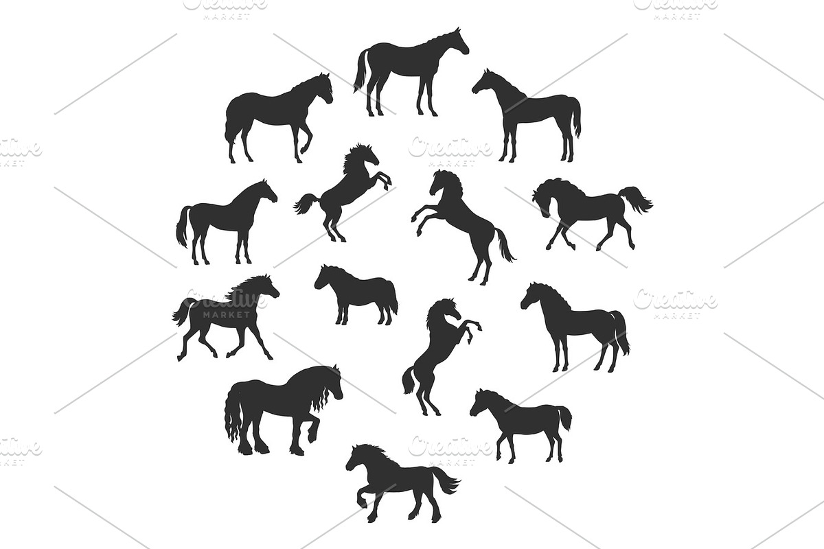 Set of Vector Silhouettes of Horses Breeds in Illustrations - product preview 8
