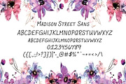 Madison Street Sans