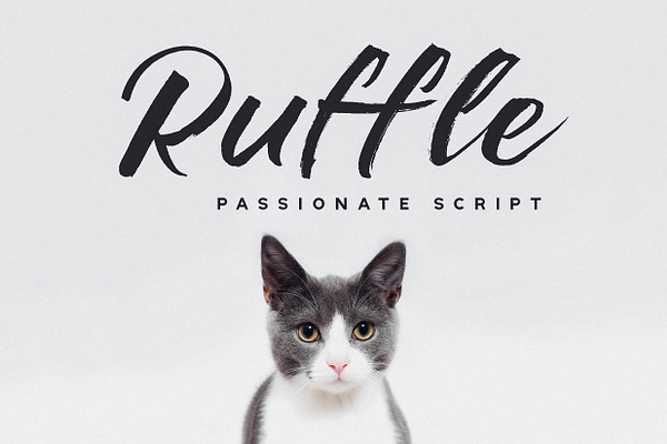 Ruffle - Casual Brush Font