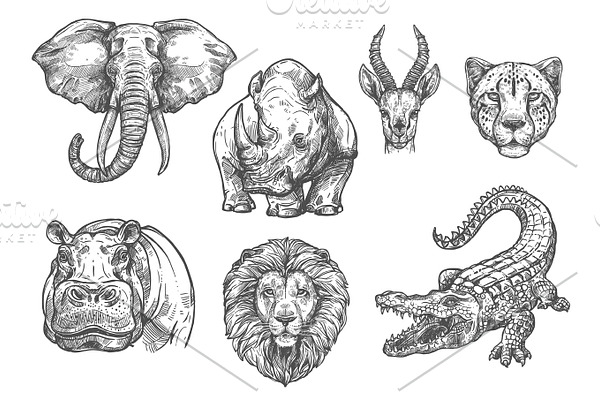 Vector sketch zoo wild African animals icons