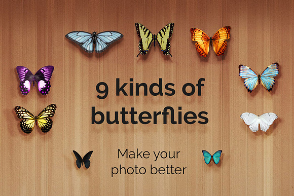 21 Butterflies Photoshop Overlays in Photoshop Layer Styles - product preview 5