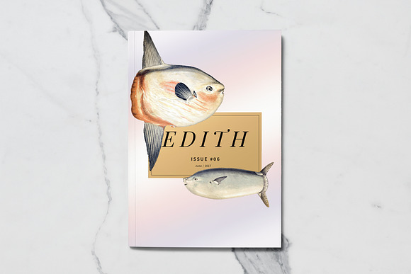 Vintage Fish Graphics Bundle in Illustrations - product preview 2