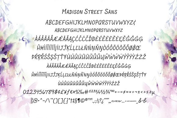 Madison Street Text Fonts in Sans-Serif Fonts - product preview 1