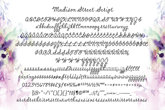 Madison Street Text Fonts in Sans-Serif Fonts - product preview 2