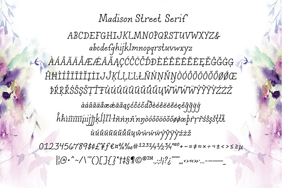 Madison Street Text Fonts in Sans-Serif Fonts - product preview 3