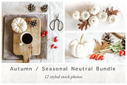 Autumn / Seasonal Neutral Bundle
