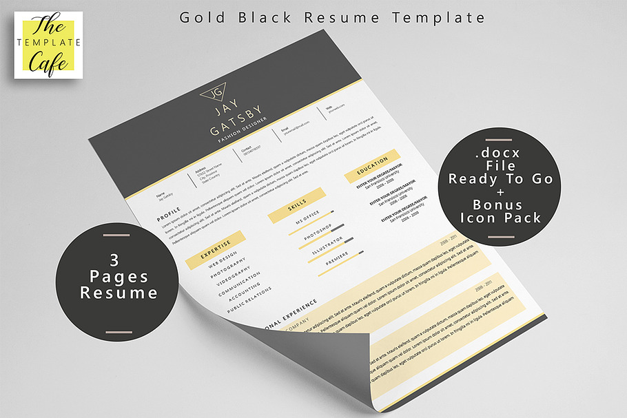 Black Gold Resume Template in Resume Templates - product preview 8