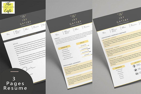 Black Gold Resume Template in Resume Templates - product preview 1