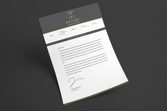 Black Gold Resume Template in Resume Templates - product preview 3