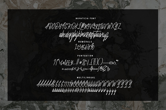 Nuvaticia Typeface in Script Fonts - product preview 6