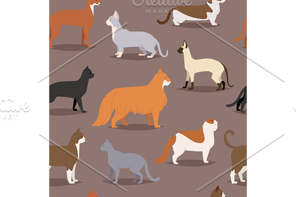 Different cat breeds cute kitty pet cartoon cute animal character set seamless pattern