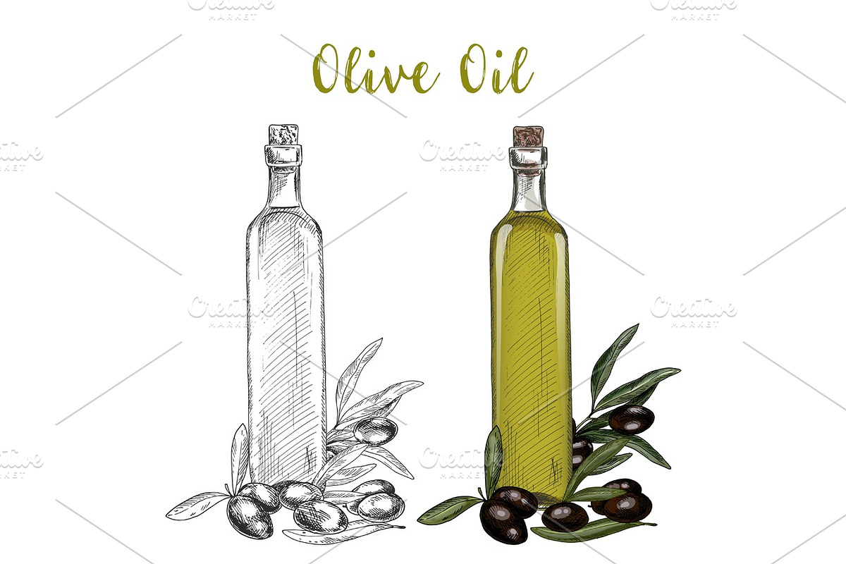 Olive oil branch and glassware bottle with cork in Illustrations - product preview 8