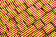 Catalunya Flag Grunge Pattern