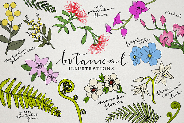 Botanical & Floral Illustration Pack