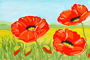Red watercolor poppy flowers