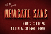 Newgate Sans - Retro Font