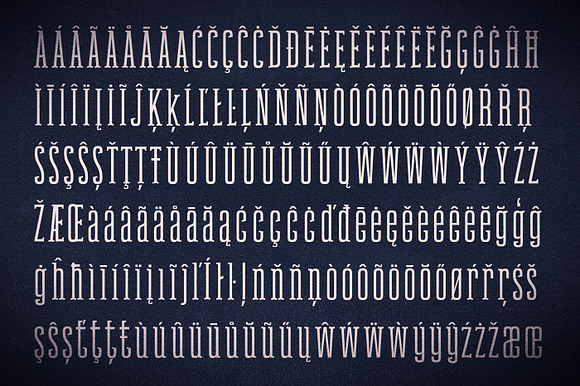 Newgate Slab - Retro Font in Slab Serif Fonts - product preview 5