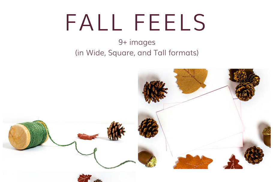 Fall Feels (9+ Images) in Mockup Templates - product preview 8