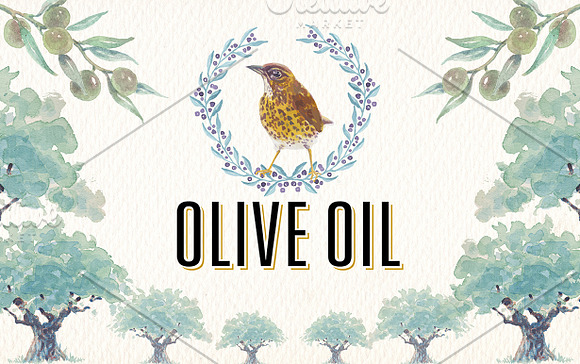 Watercolor olive oil clipart in Illustrations - product preview 1