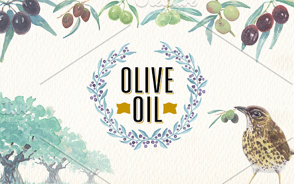 Watercolor olive oil clipart in Illustrations - product preview 3