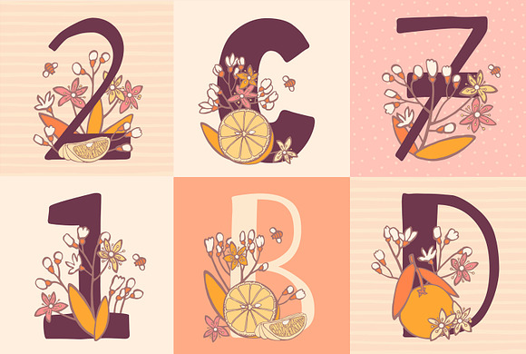 Orange garden monograms in Illustrations - product preview 3