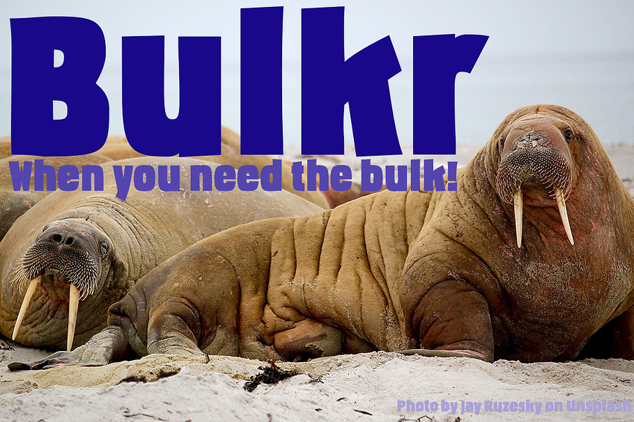 Bulkr, a font when you need impact in Sans-Serif Fonts - product preview 8