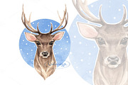 Deer. Watercolor illustration