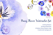 Pansy flowers watercolor set