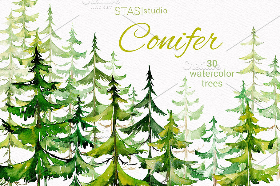 Watercolor Conifer Trees Clipart