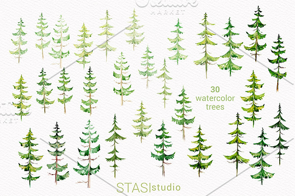 Watercolor Conifer Trees Clipart in Illustrations - product preview 1
