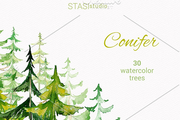 Watercolor Conifer Trees Clipart in Illustrations - product preview 2