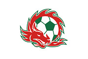 Welsh Dragon Soccer Ball 