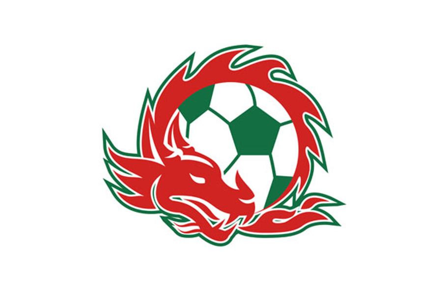 Welsh Dragon Soccer Ball  in Graphics - product preview 8