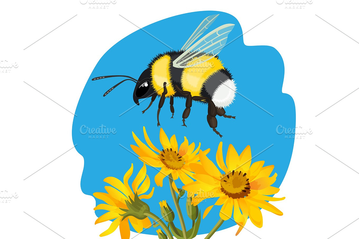Bumble bee flying over yellow flowers on background of sky in Illustrations - product preview 8