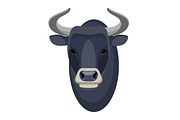 Bull head realistic icon muscular and aggressive male of cow