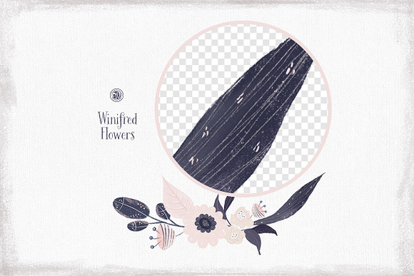 Winifred Flowers in Illustrations - product preview 5