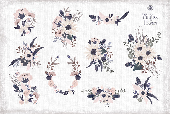 Winifred Flowers in Illustrations - product preview 6