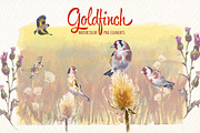 Watercolor goldfinch bird clipart