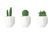 Cactus and succulent illustrations in a flat style isolated on a white background.