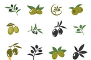 Mediterranean olive branches icons